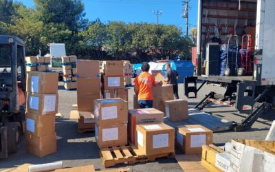 王先生海运家具回国清关全记录:Ship2China护航,从申报到通关零踩坑实操指南